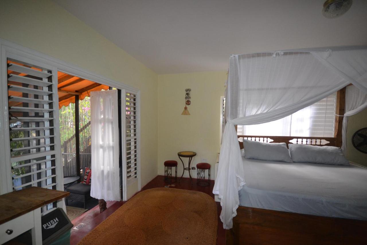 Katamah Beachfront Guesthouse تريجر آيلاند بيتش الغرفة الصورة