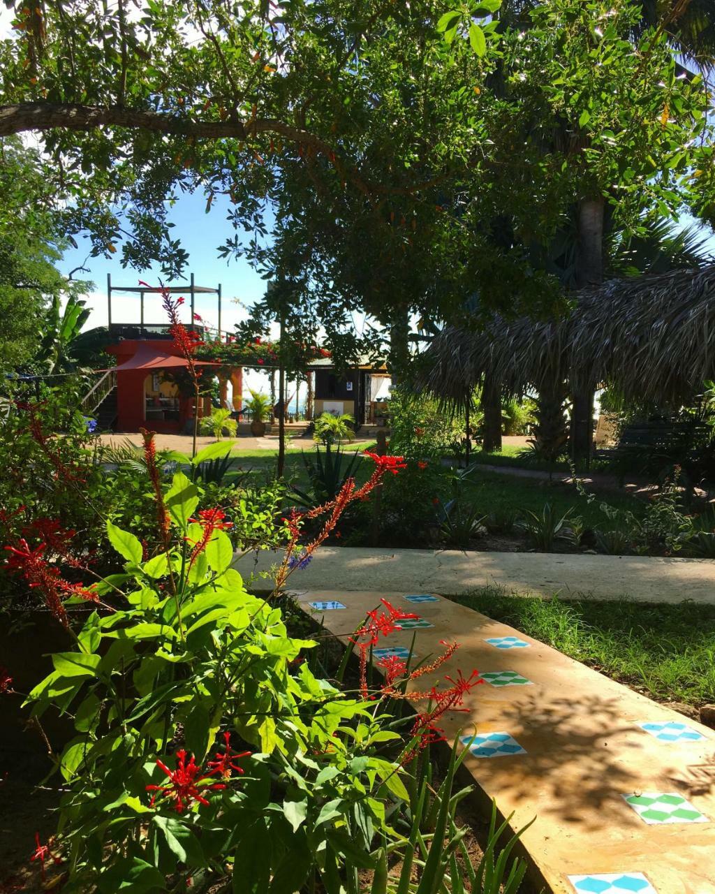 Katamah Beachfront Guesthouse تريجر آيلاند بيتش المظهر الخارجي الصورة