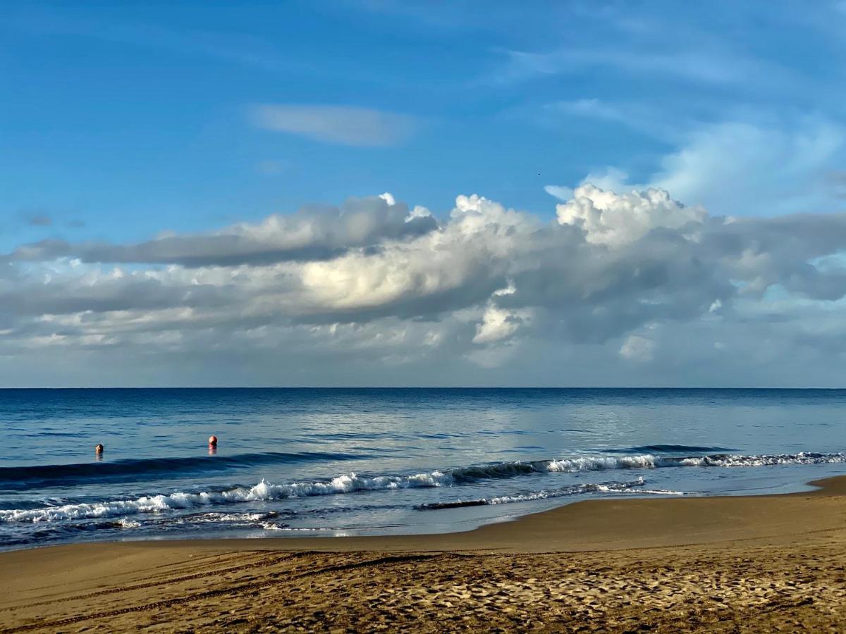 Katamah Beachfront Guesthouse تريجر آيلاند بيتش المظهر الخارجي الصورة